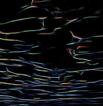 2LP Porter Ricks: Biokinetics