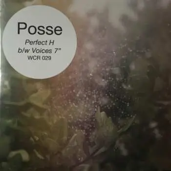 SP Posse: Perfect H