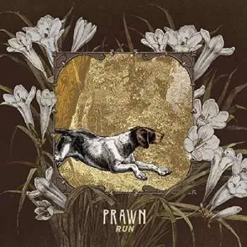 CD Prawn: Run