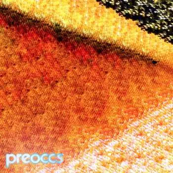 SP Preoccupations: MUR/PONR
