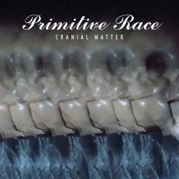 CD Primitive Race: Cranial Matter