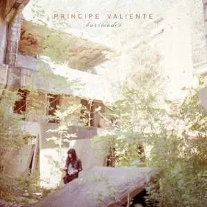 LP Principe Valiente: Barricades