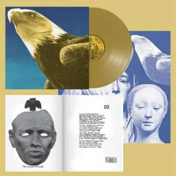 LP Protomartyr: Hotel Usona