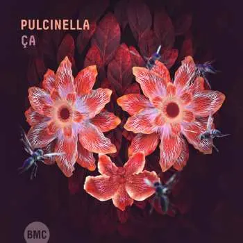 CD Pulcinella: Ça