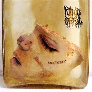 CD Putrid Offal: Anatomy LTD | NUM | DIGI