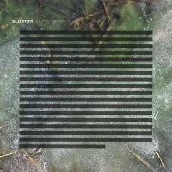 LP Qluster: Antworten