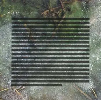 CD Qluster: Antworten