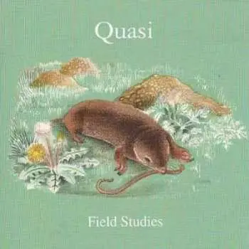 2LP Quasi: Field Studies