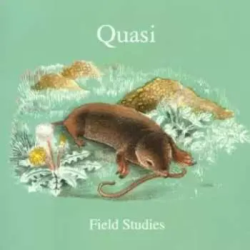 CD Quasi: Field Studies