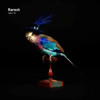 CD Raresh: Fabric 78