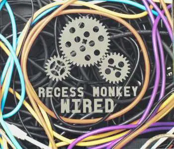 CD Recess Monkey: Wired