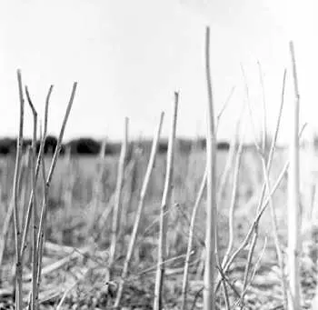 2LP Recondite: On Acid