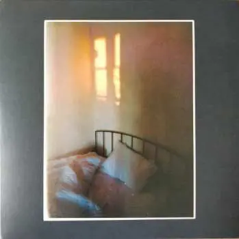 SP Rev Magnetic: Gloaming
