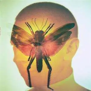 LP Maelstrom: Rhizome