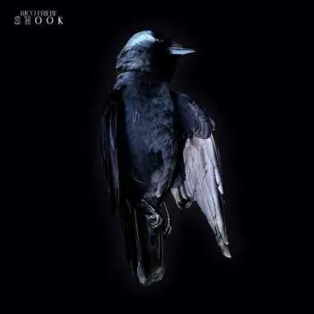 CD Rico Friebe: Shook LTD