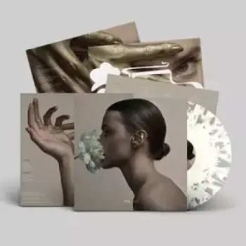 LP Riki: Gold LTD | CLR