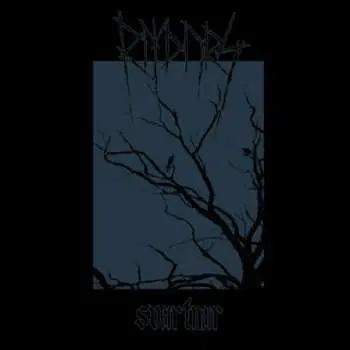 CD Rimthurs: Svartnar LTD | DIGI