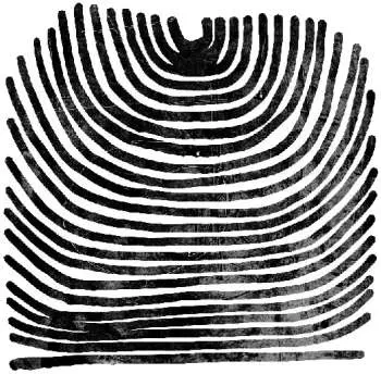 2LP Rival Consoles: Howl CLR | LTD