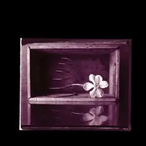 SP Rob Crow: Hymns
