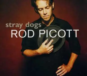 CD Rod Picott: Stray Dogs