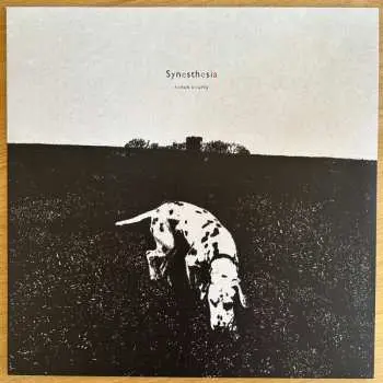 LP Ronan Courty: Synesthesia
