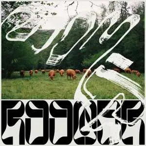 EP Roomer: Skice
