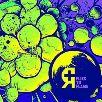 LP Rosetta: Flies To Flame CLR