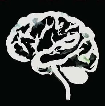 LP Ruins: Brain Flakes