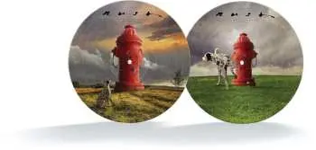Rush: Signals Ltd. (Picture) LP