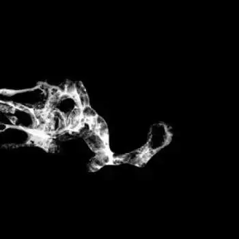 2LP Saffronkeira: Tourette