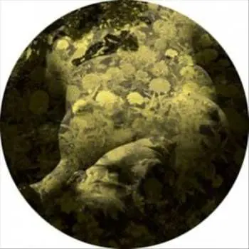 LP Paul Salva: Yellobone