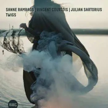 CD Sanne Rambags: Twigs