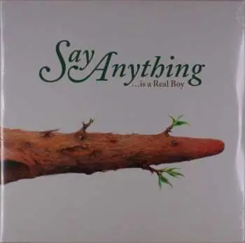 2LP Say Anything: ...Is A Real Boy