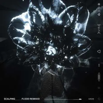 LP SCALPING: Flood Remixed LTD | CLR