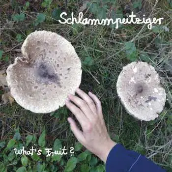 CD Schlammpeitziger: What's Fruit ?