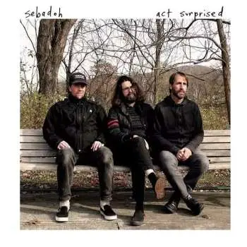 LP Sebadoh: Act Surprised CLR