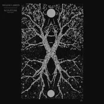 LP Shaam Larein: Sculpture NUM | LTD