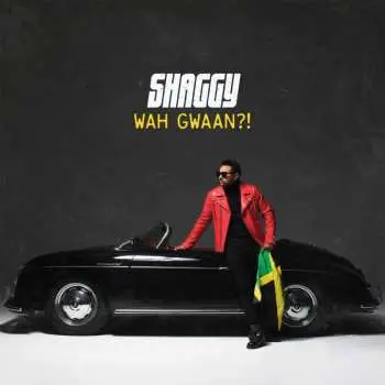 2LP Shaggy: Wah Gwaan?! CLR