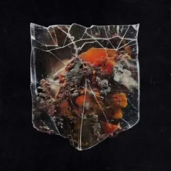 LP Shields: Death & Connection (splattered Vinyl)