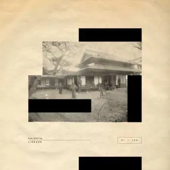 LP Shigeto: Lineage CLR | LTD