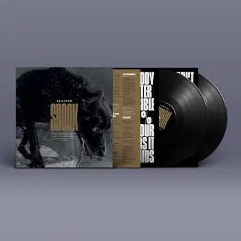 2LP Algiers: Shook