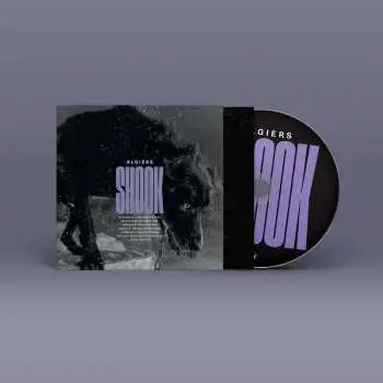 CD Algiers: Shook