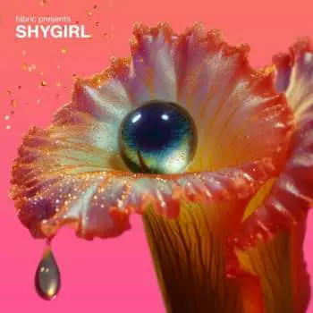 CD Shygirl: Fabric Presents Shygirl