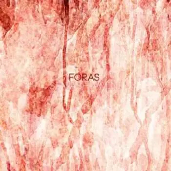 LP Siavash Amini: Foras