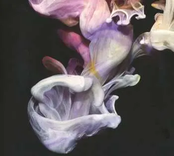 CD Simian Mobile Disco: Murmurations DIGI