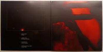2LP Skepticism: Stormcrowfleet CLR | LTD