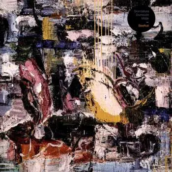 LP Skordatura Punkjazz Ensemble: Beefkat