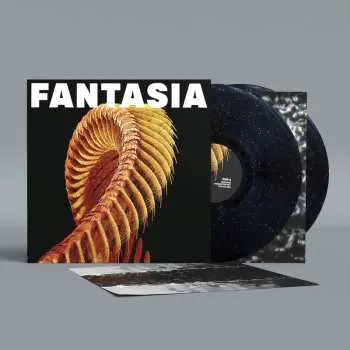 2LP Slift: Fantasia LTD