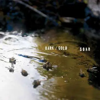 LP Soar: Dark / Gold