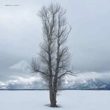 2LP Sonna: Keep It Together